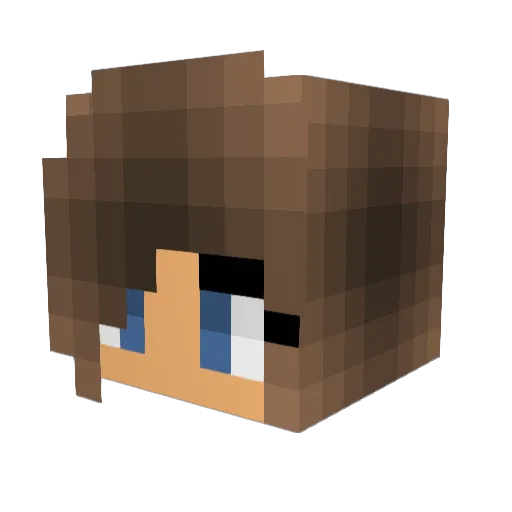 SEEMP_ Minecraft avatar head, 3D render