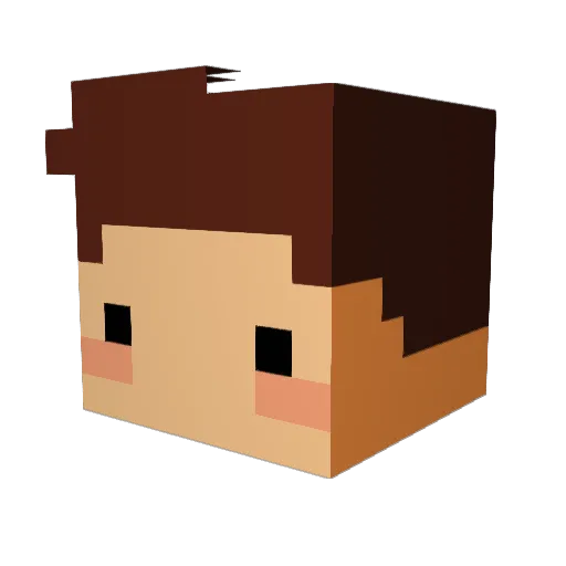 SEETWE Minecraft avatar head, 3D render