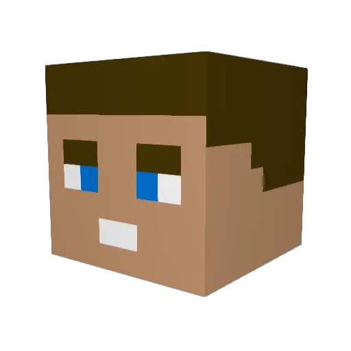 SEIDER6705 Minecraft avatar head, 3D render
