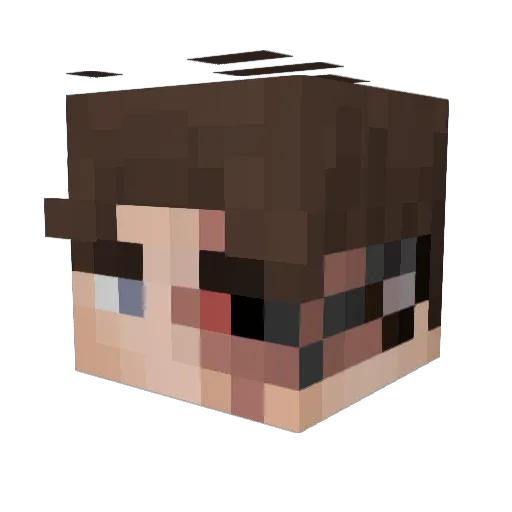 SEILT Minecraft avatar head, 3D render