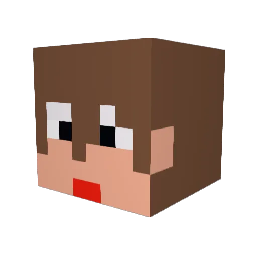 SEI_3710 Minecraft avatar head, 3D render