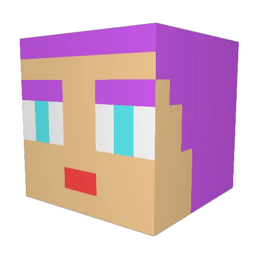 SEJINYEONG Minecraft avatar head, 3D render