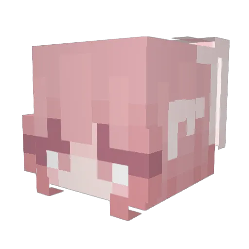 SELION0526 Minecraft avatar head, 3D render