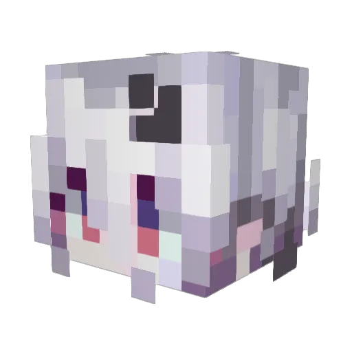 SEMIS_AN Minecraft avatar head, 3D render