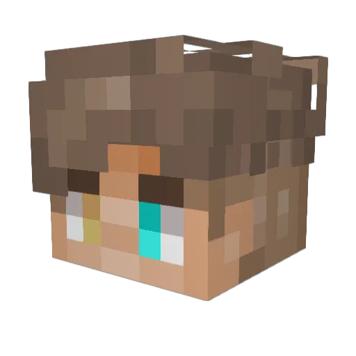 SENATOR149 Minecraft avatar head, 3D render