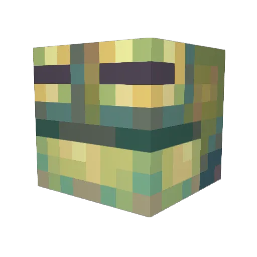 SENIORPHROG Minecraft avatar head, 3D render