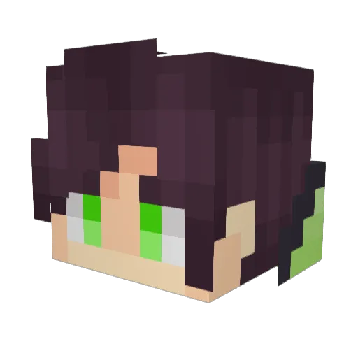 SENPAI_RIO Minecraft avatar head, 3D render