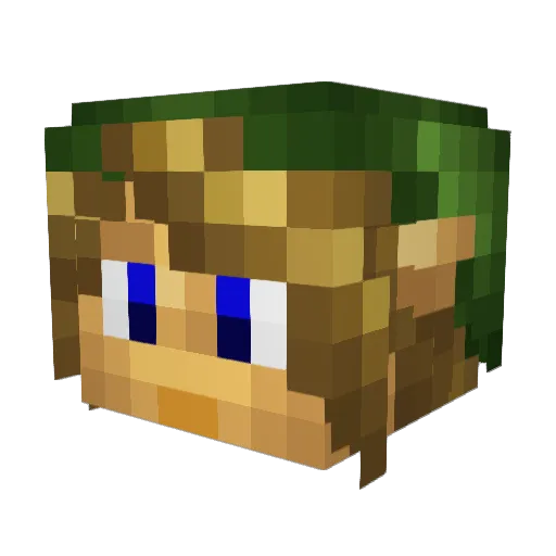 SENSAW Minecraft avatar head, 3D render