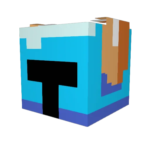 SENSBOW Minecraft avatar head, 3D render