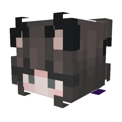 SENTAIMANIA Minecraft avatar head, 3D render
