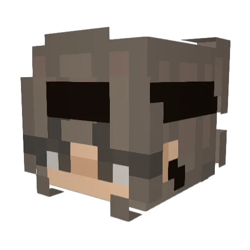 SENZZZZ Minecraft avatar head, 3D render