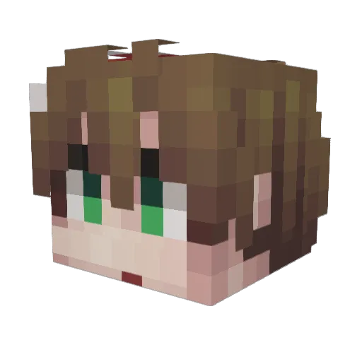 SEONG_ZOO Minecraft avatar head, 3D render