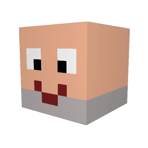 SEPAR_DMS Minecraft avatar head, 3D render