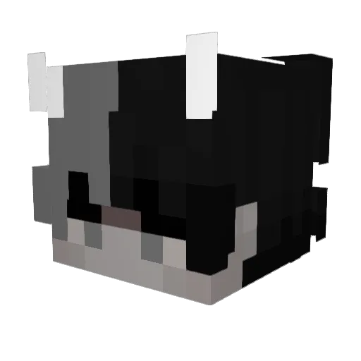 SEPEHRSPR Minecraft avatar head, 3D render