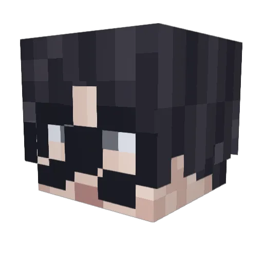 SERAp_q Minecraft avatar head, 3D render