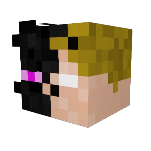 SEROX_XD Minecraft avatar head, 3D render