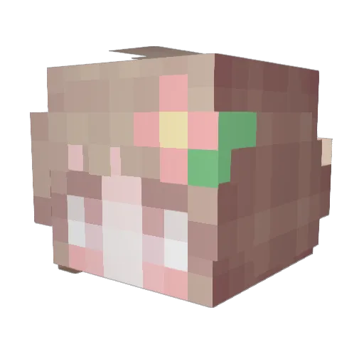 SERROYA Minecraft avatar head, 3D render