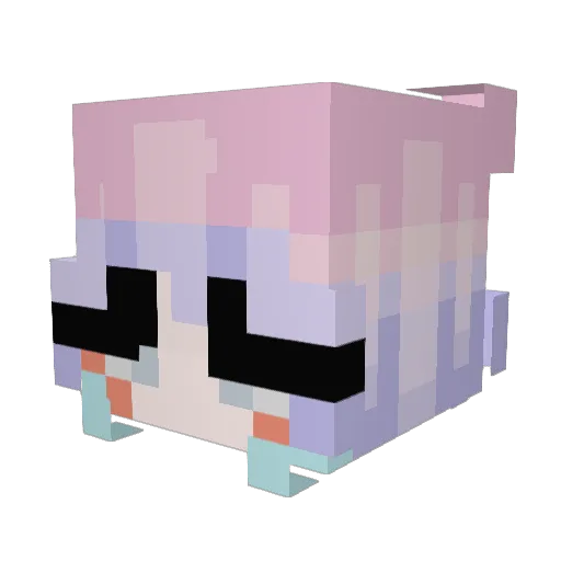 SERSKA_ Minecraft avatar head, 3D render