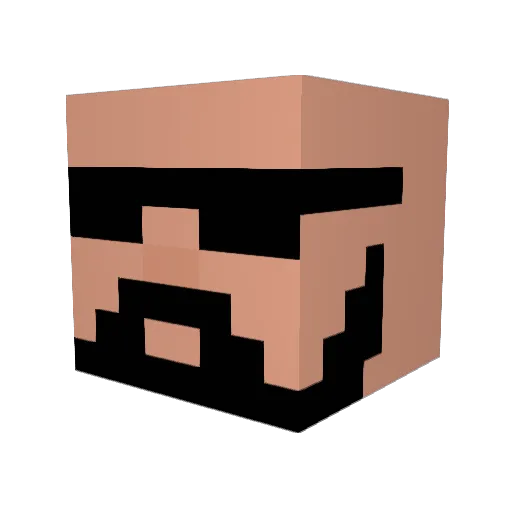 SETIDE Minecraft avatar head, 3D render
