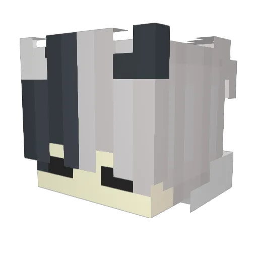 SETITA007 Minecraft avatar head, 3D render