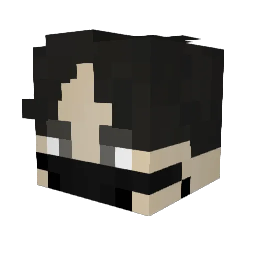 SETJX80 Minecraft avatar head, 3D render