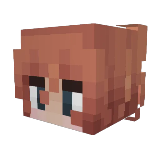 SEUNGCHE0L Minecraft avatar head, 3D render