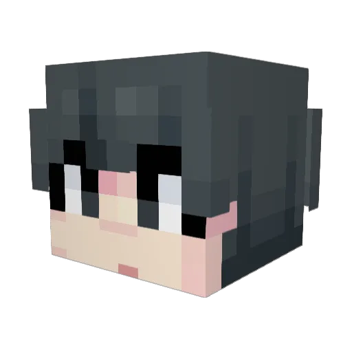SE_Dustin Minecraft avatar head, 3D render