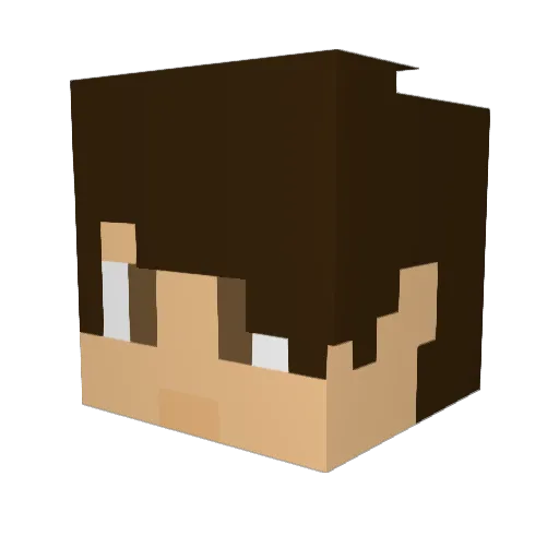 SE_GAMER Minecraft avatar head, 3D render