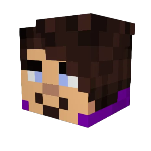 SEbixowy Minecraft avatar head, 3D render