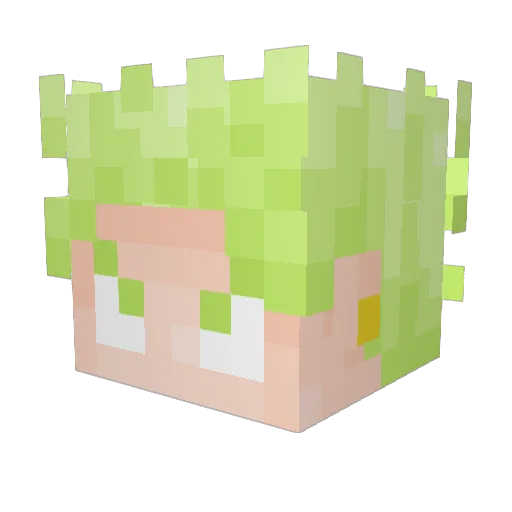 SEca69 Minecraft avatar head, 3D render