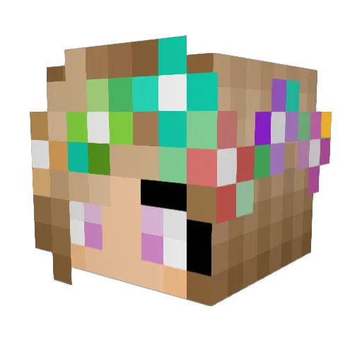 SEliz0 Minecraft avatar head, 3D render