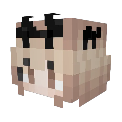 SEo0 Minecraft avatar head, 3D render
