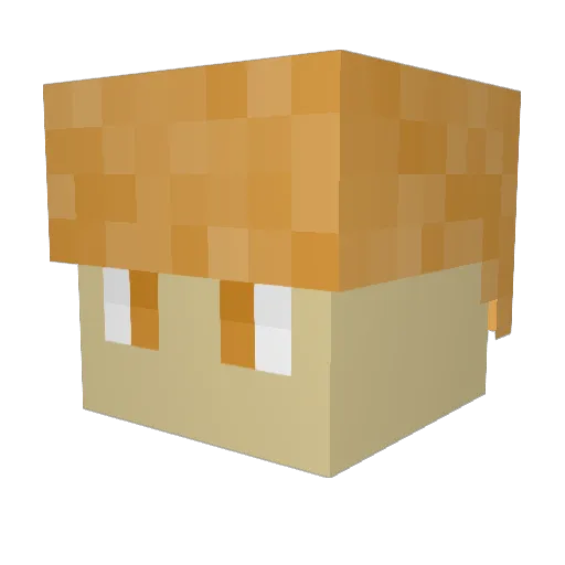 SErobber Minecraft avatar head, 3D render