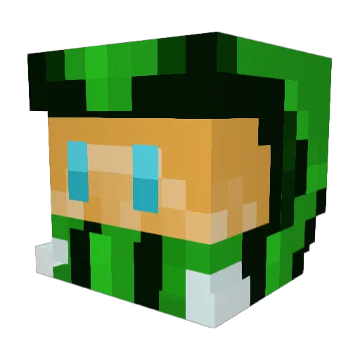 Minecraft-Avatar von SEspider: Kopf als 3D-Render