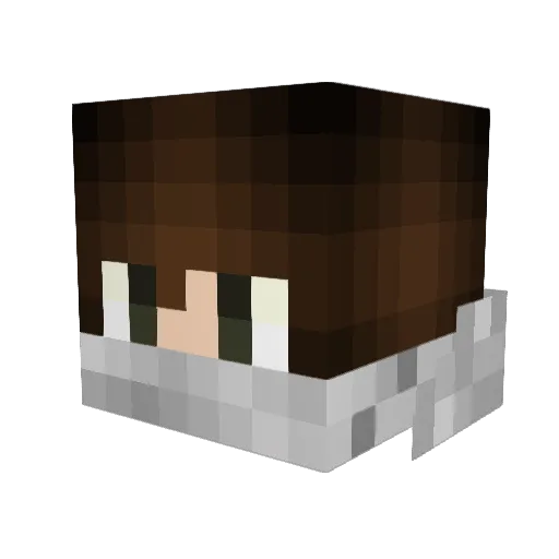 SFCloudy Minecraft avatar head, 3D render