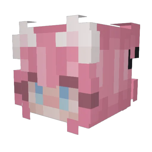 SFDKHJFSDLHJKFS Minecraft avatar head, 3D render