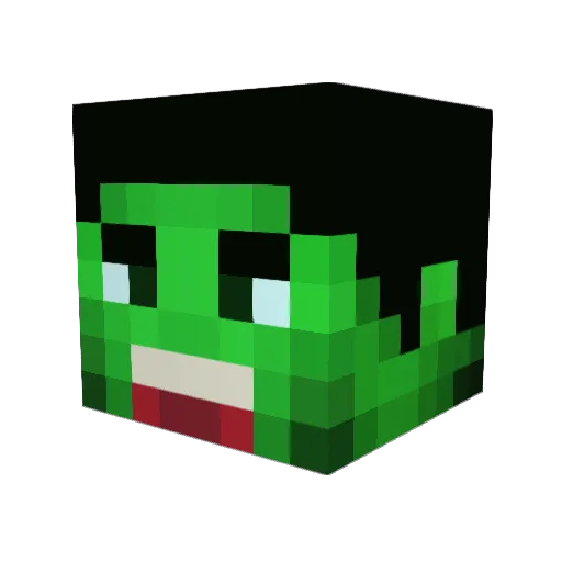 SFHawk10 Minecraft avatar head, 3D render