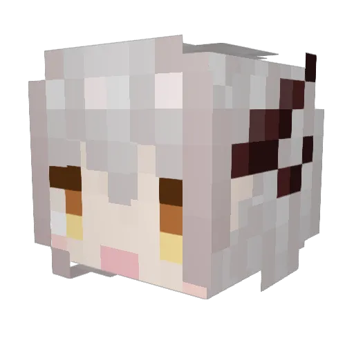 SFL4 Minecraft avatar head, 3D render