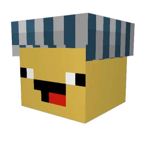 SFL_Pingvin Minecraft avatar head, 3D render
