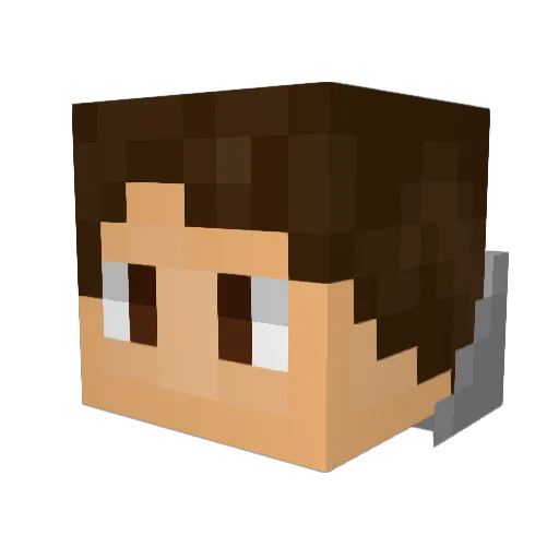 SFM3131 Minecraft avatar head, 3D render