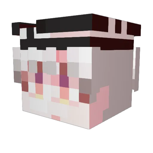 SFSODA Minecraft avatar head, 3D render