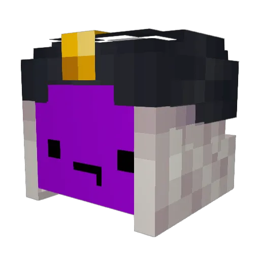 SFSoares_ Minecraft avatar head, 3D render