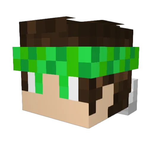 SFT_Target Minecraft avatar head, 3D render