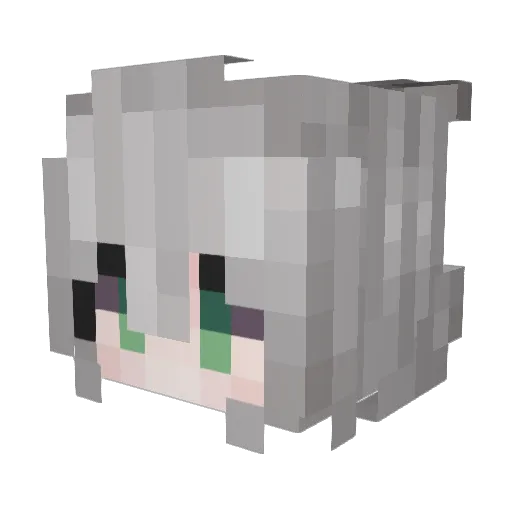 SFishFish Minecraft avatar head, 3D render