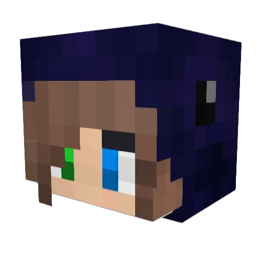 SG7 Minecraft avatar head, 3D render