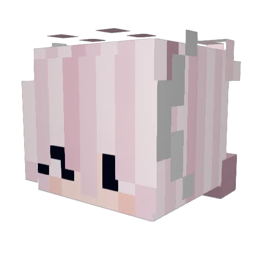 SGCL4SS1CT0GGLER Minecraft avatar head, 3D render