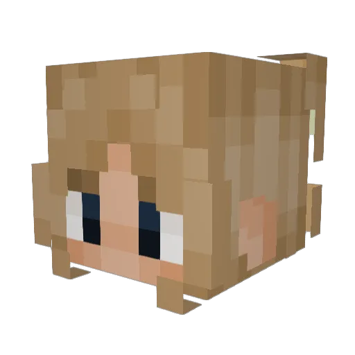 SGF552 Minecraft avatar head, 3D render