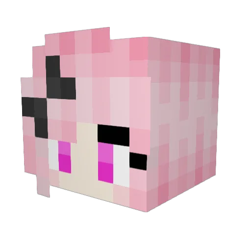 SGTC_member Minecraft avatar head, 3D render