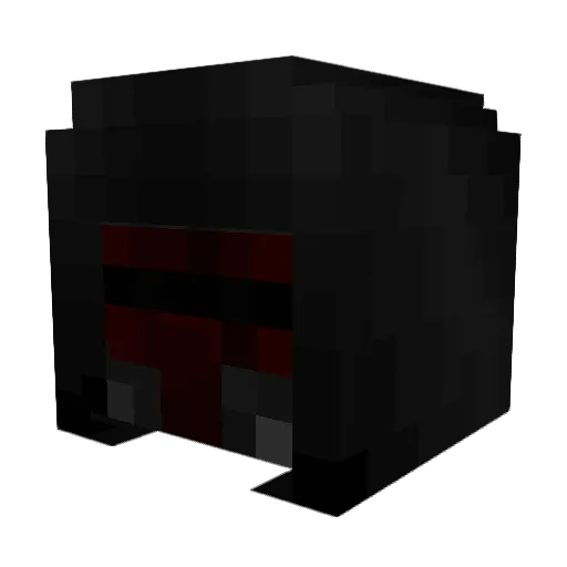 SGTMARSHALL51 Minecraft avatar head, 3D render