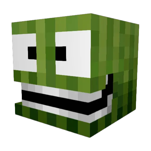 SGT_WaterMelon Minecraft avatar head, 3D render